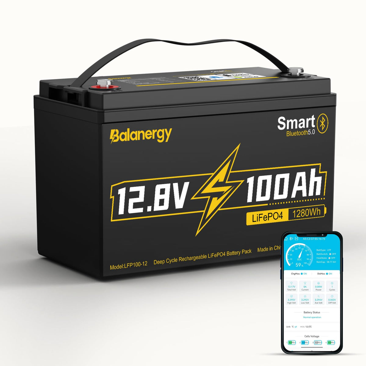 12V 100Ah LiFePO4 Lithium Battery Group 31 with 100A BMS N735