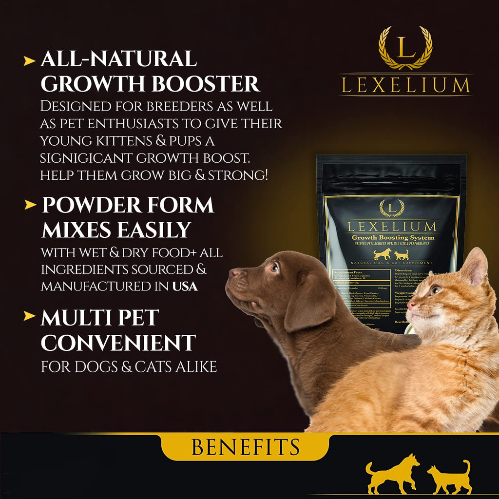 Weight Gainer Supplement for Dogs & Cats 200g X307717