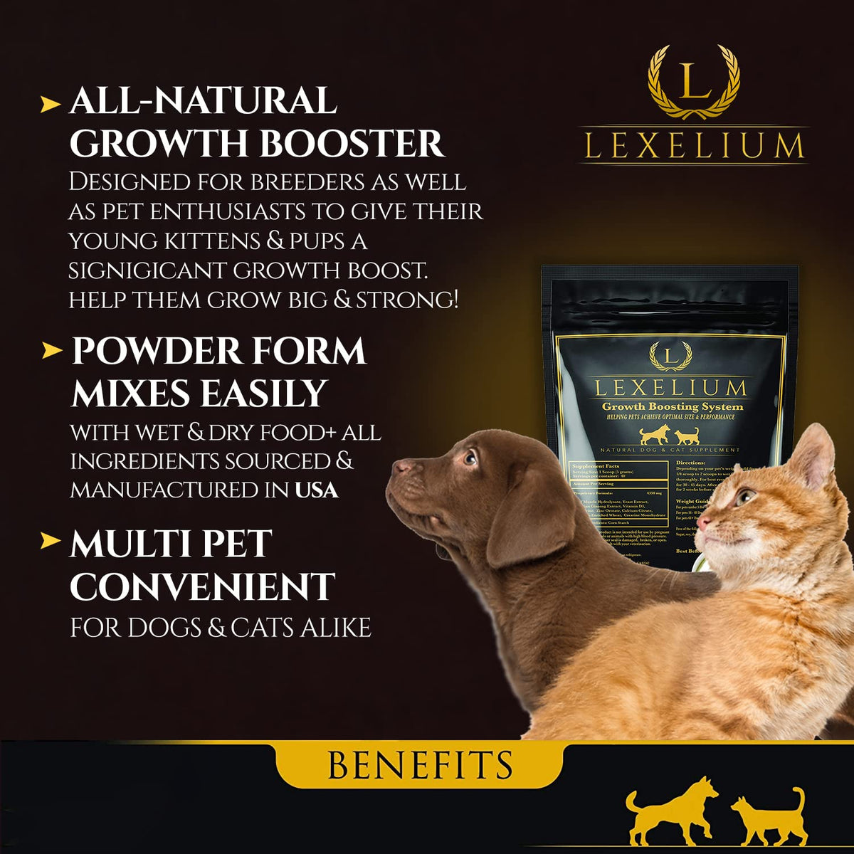 Weight Gainer Supplement for Dogs & Cats 200g X307717