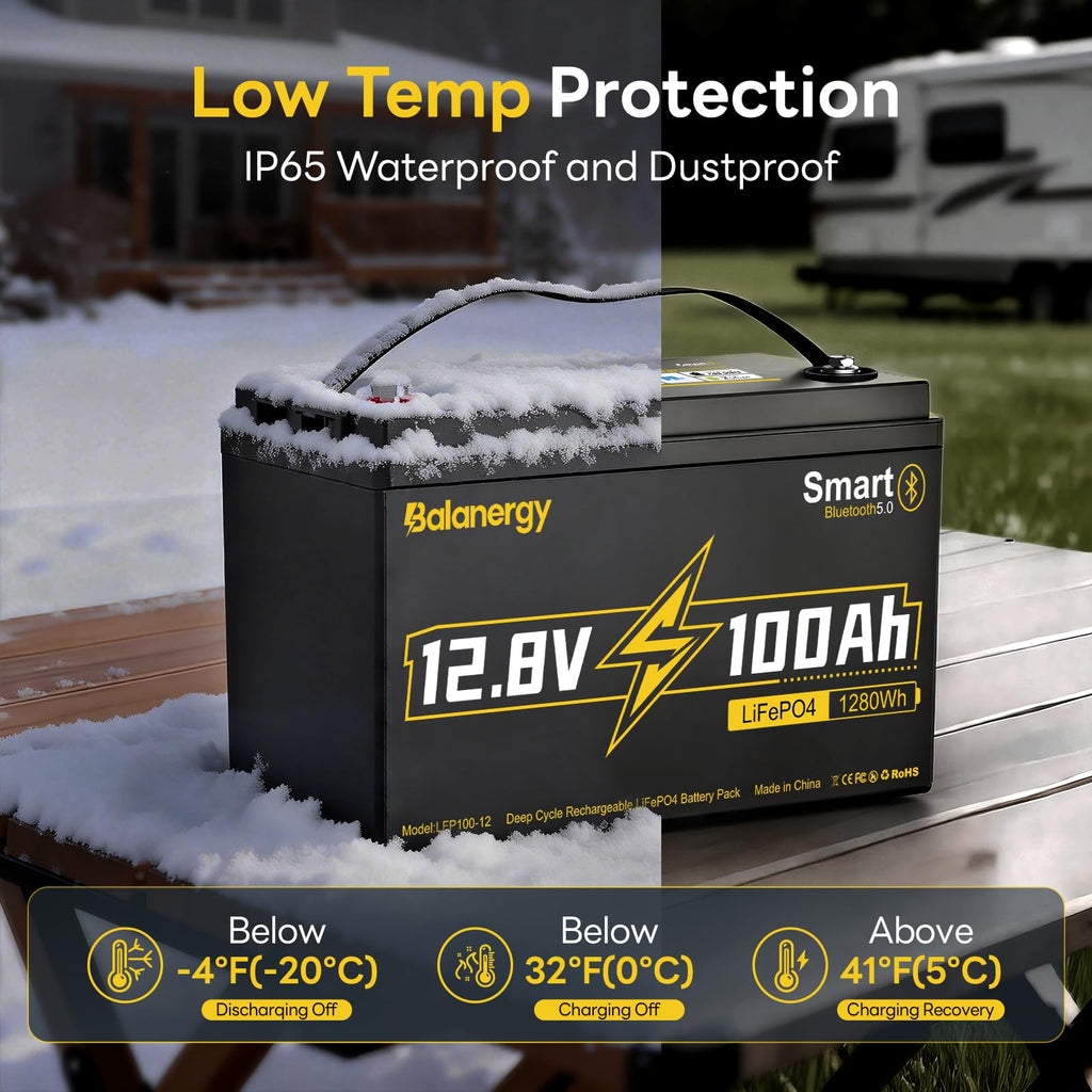 12V 100Ah LiFePO4 Lithium Battery Group 31 with 100A BMS N735