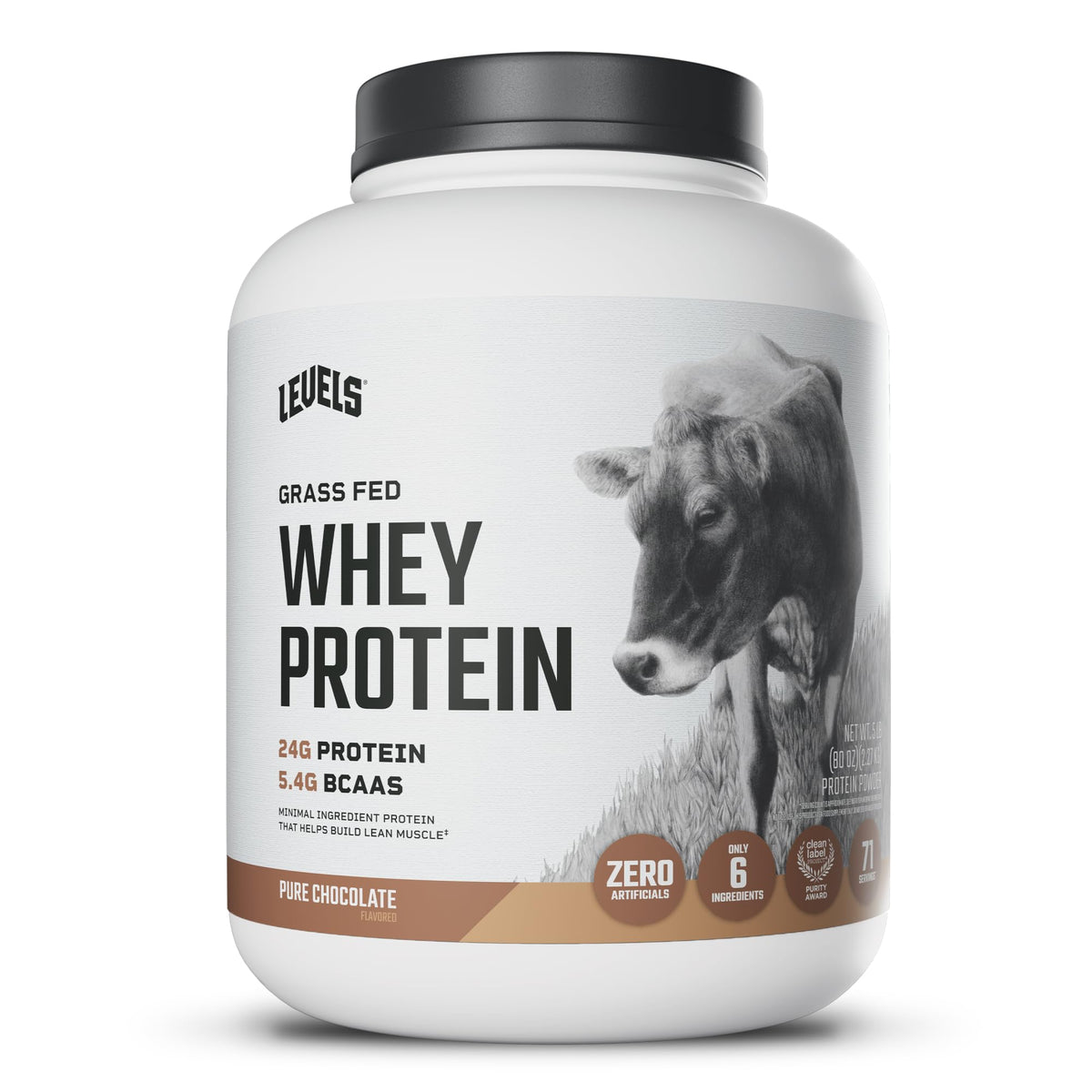 Whey Protein Powder Pure Chocolate 5LB H7113