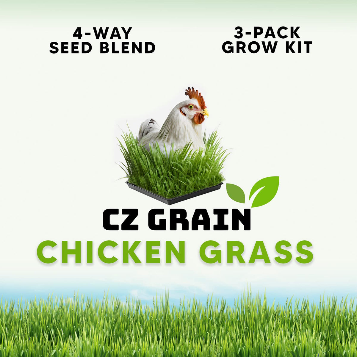 Chicken Grass Grow Kit 3 Pack Refill Kit G10699