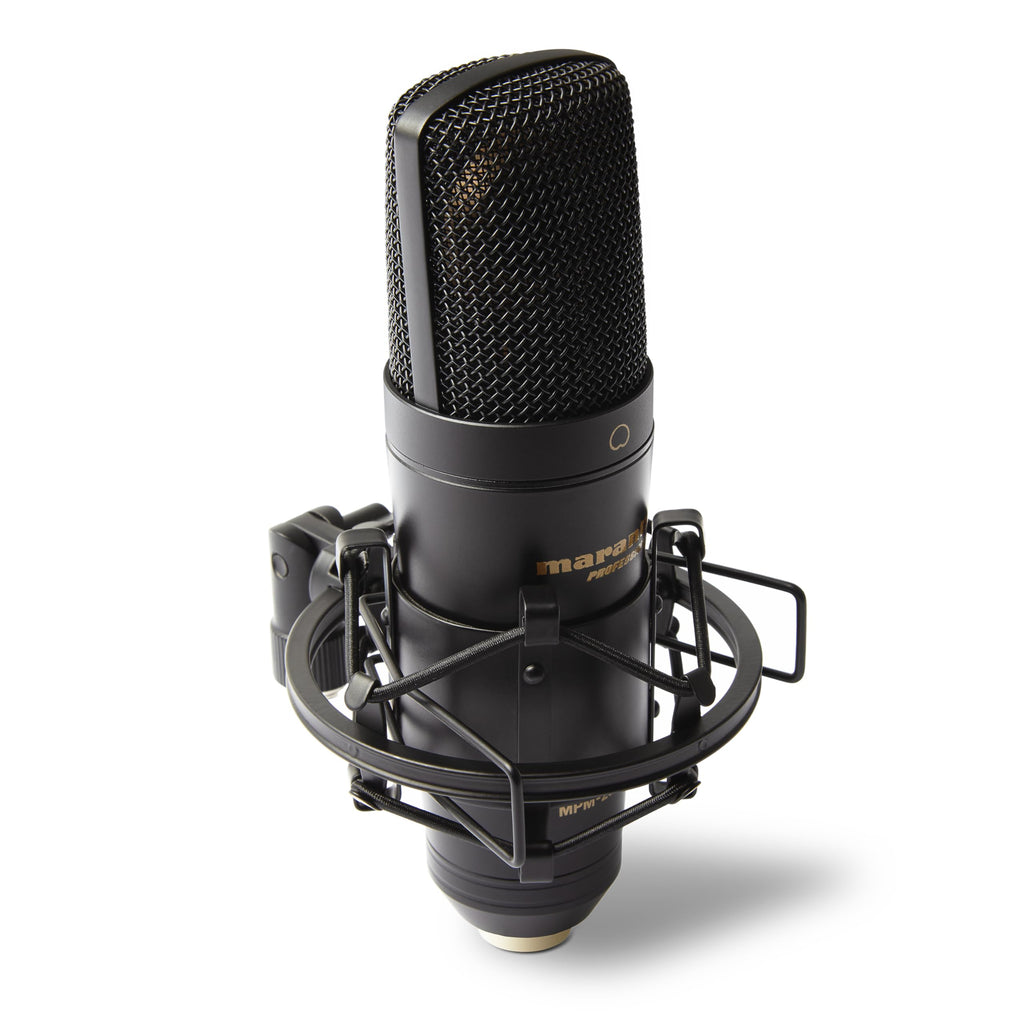 USB Condenser Microphone R3333