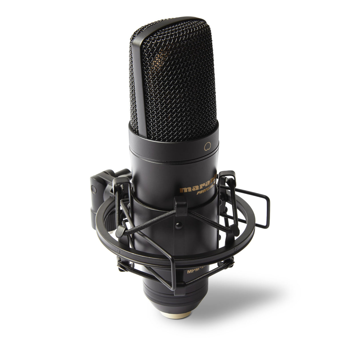 USB Condenser Microphone R3333