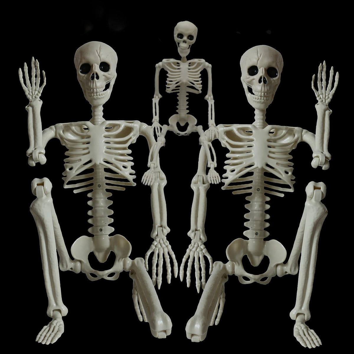2Pcs 36" 1Pcs 16" Posable Plastic Skeleton C2163