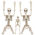 2Pcs 36" 1Pcs 16" Posable Plastic Skeleton C2163