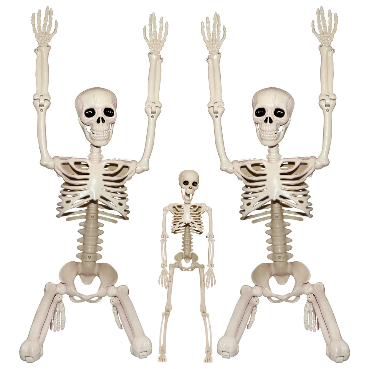 2Pcs 36" 1Pcs 16" Posable Plastic Skeleton C2163