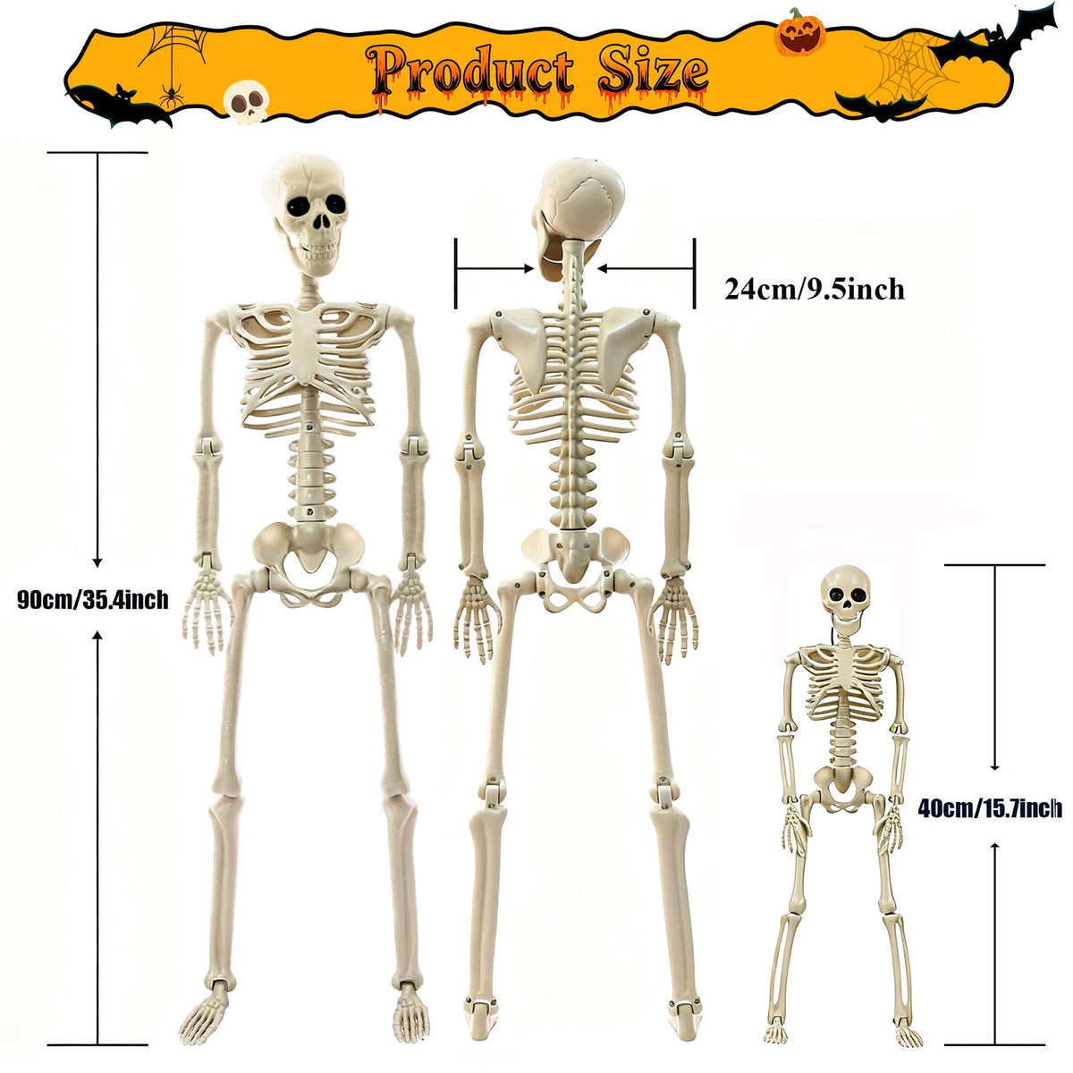 2Pcs 36" 1Pcs 16" Posable Plastic Skeleton C2163