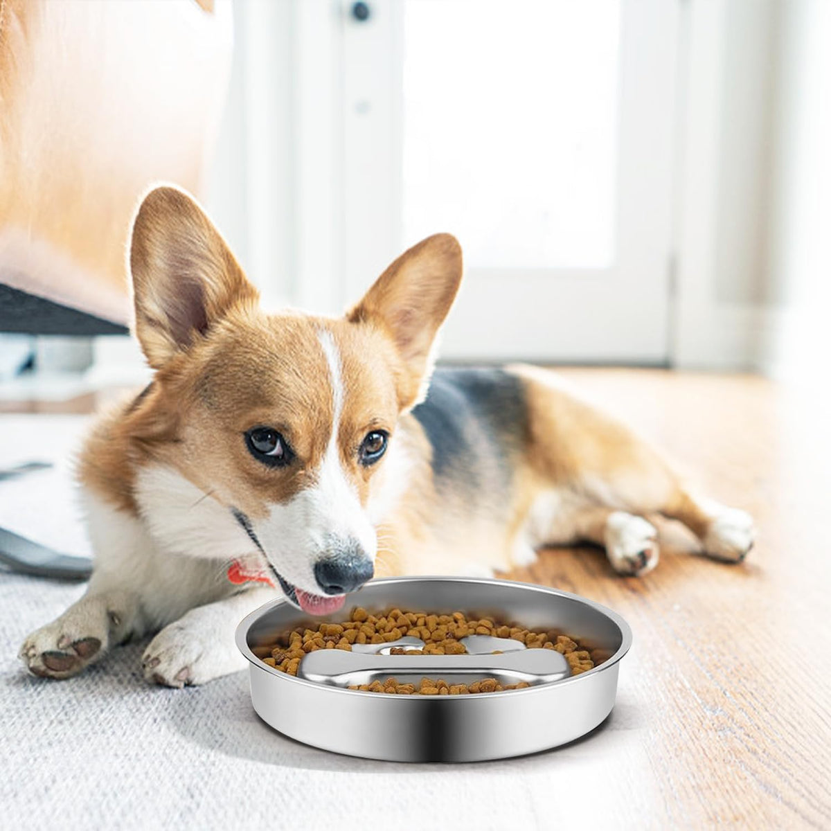 Stainless Steel Slow Feeder Dog Bowls, 2 Pcs X453