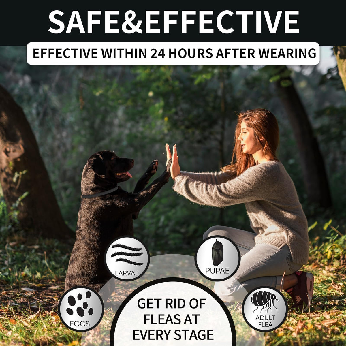 Flea and Tick Prevention Collar for Dogs 4 Pack P16064