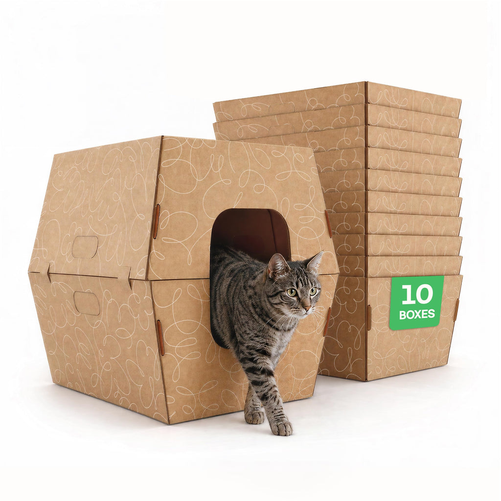 10 Pack Extra Large High Sided Leak Resistant Cardboard Cat Litter Boxes A729