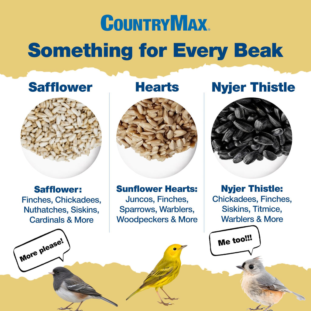 Safflower Bird Seeds I896