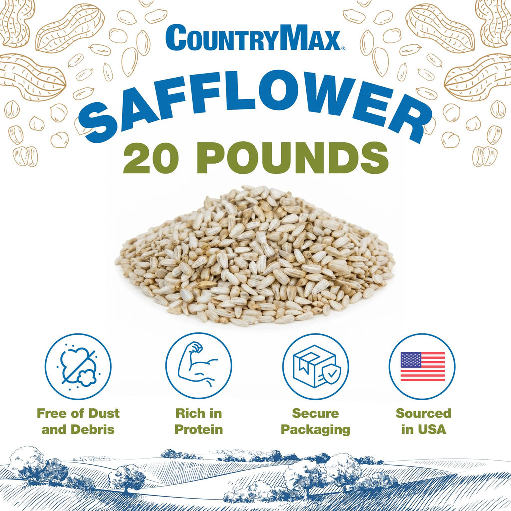 Safflower Bird Seeds I896