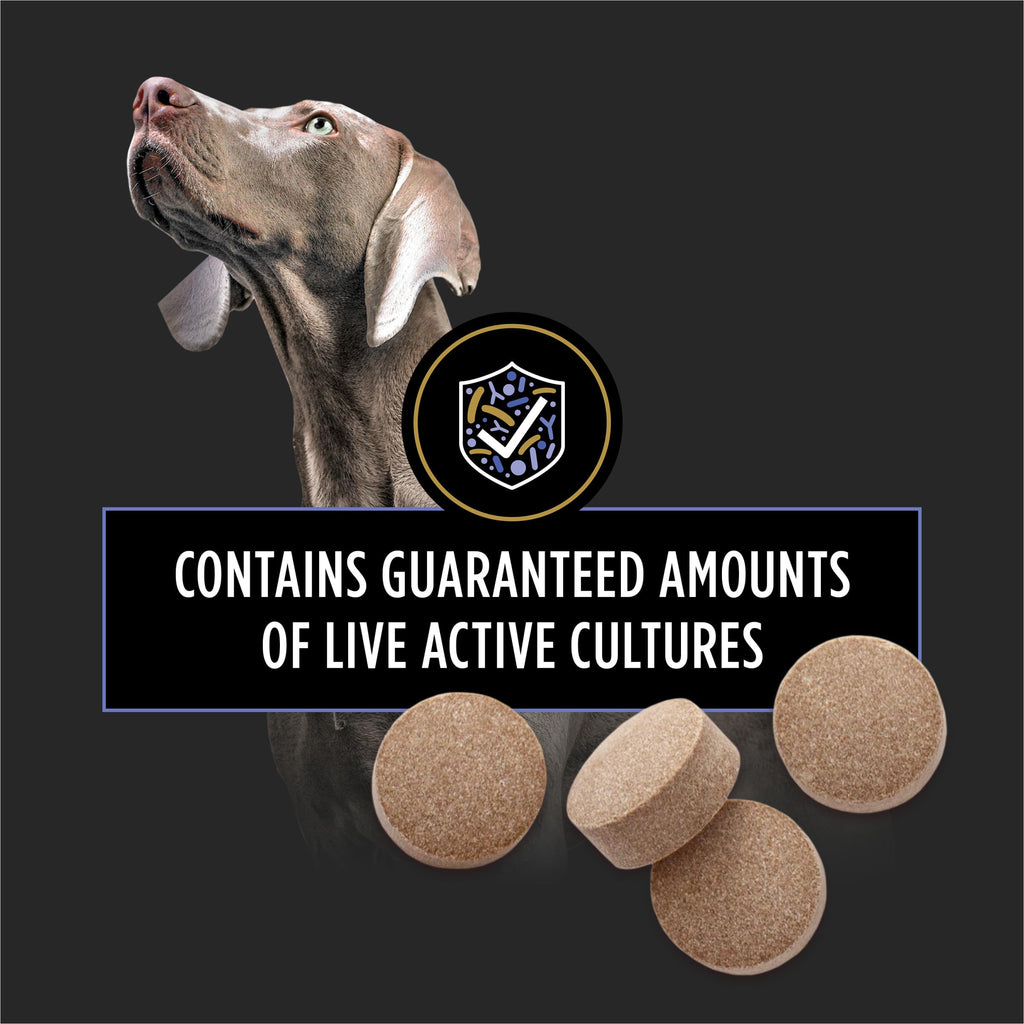 Probiotic Dog Tablets 45 Count A383060