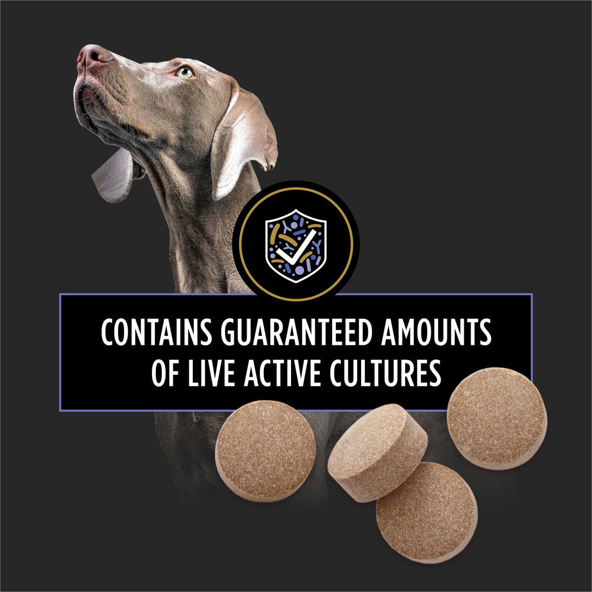 Probiotic Dog Tablets 45 Count A383060