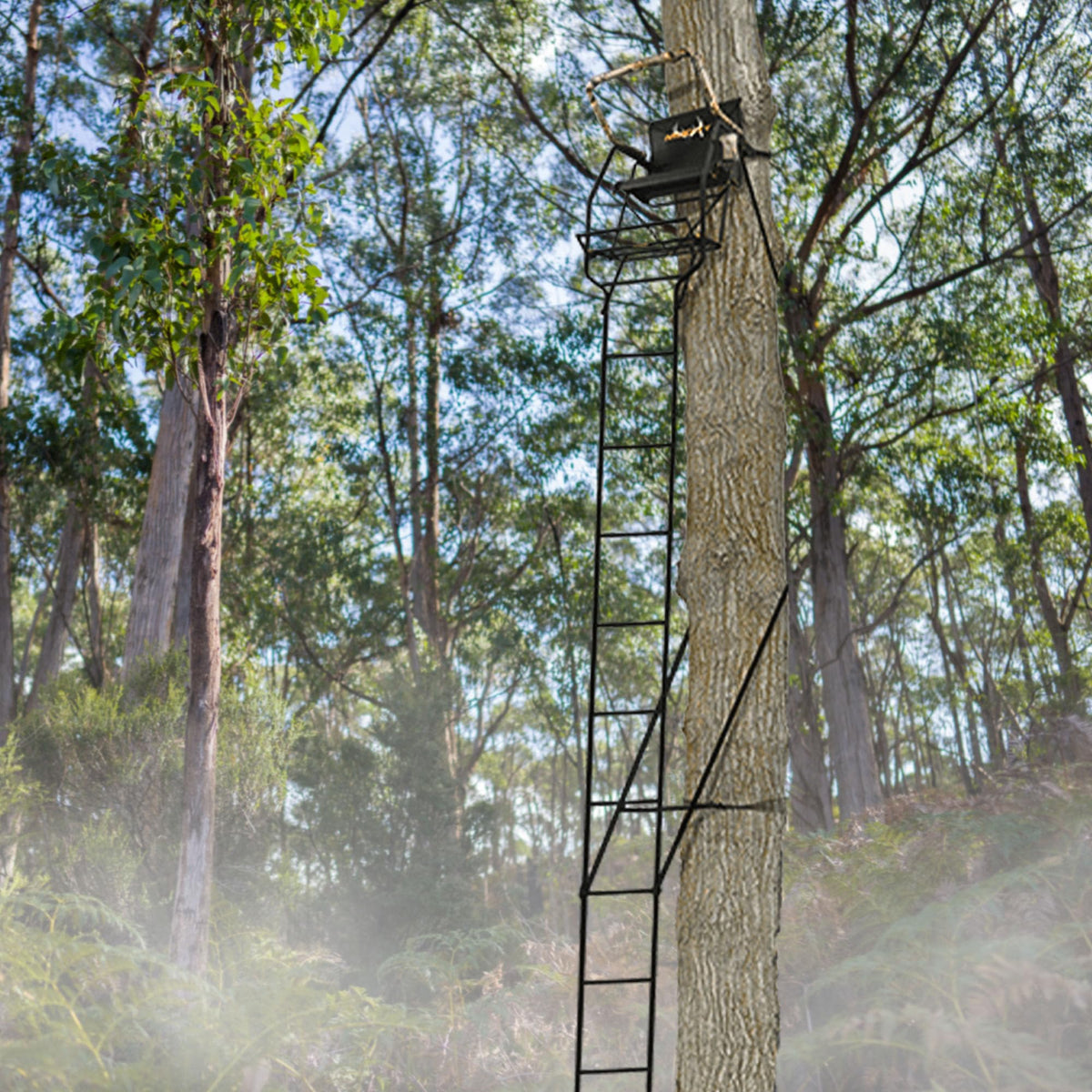 1 Person 21 Foot Climbing Tree Stand with Lumbar Seat F53062
