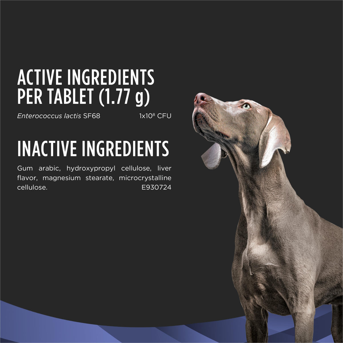 Probiotic Dog Tablets 45 Count A383060