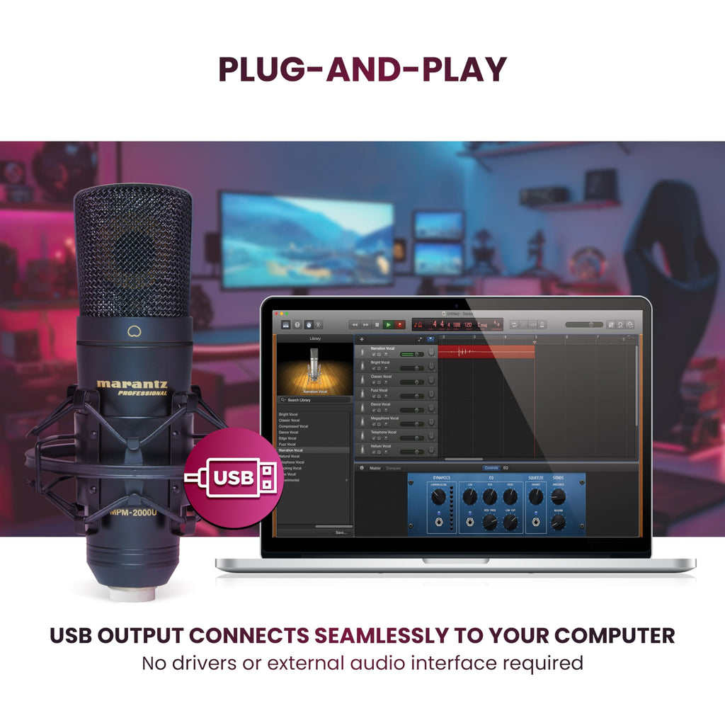 USB Condenser Microphone R3333