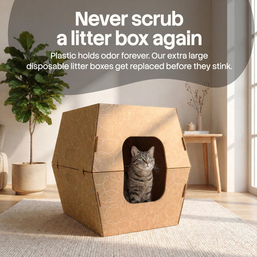 10 Pack Extra Large High Sided Leak Resistant Cardboard Cat Litter Boxes A729