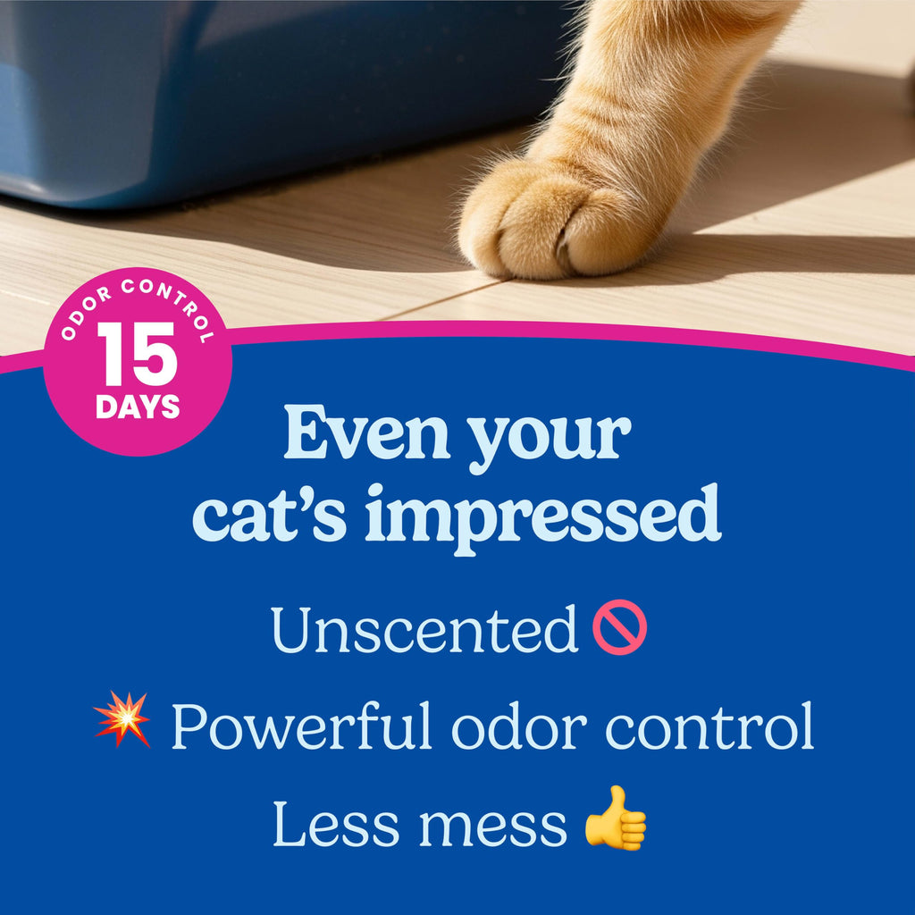 Multi Cat Clumping Litter, Unscented, 22 lb. Box U194918