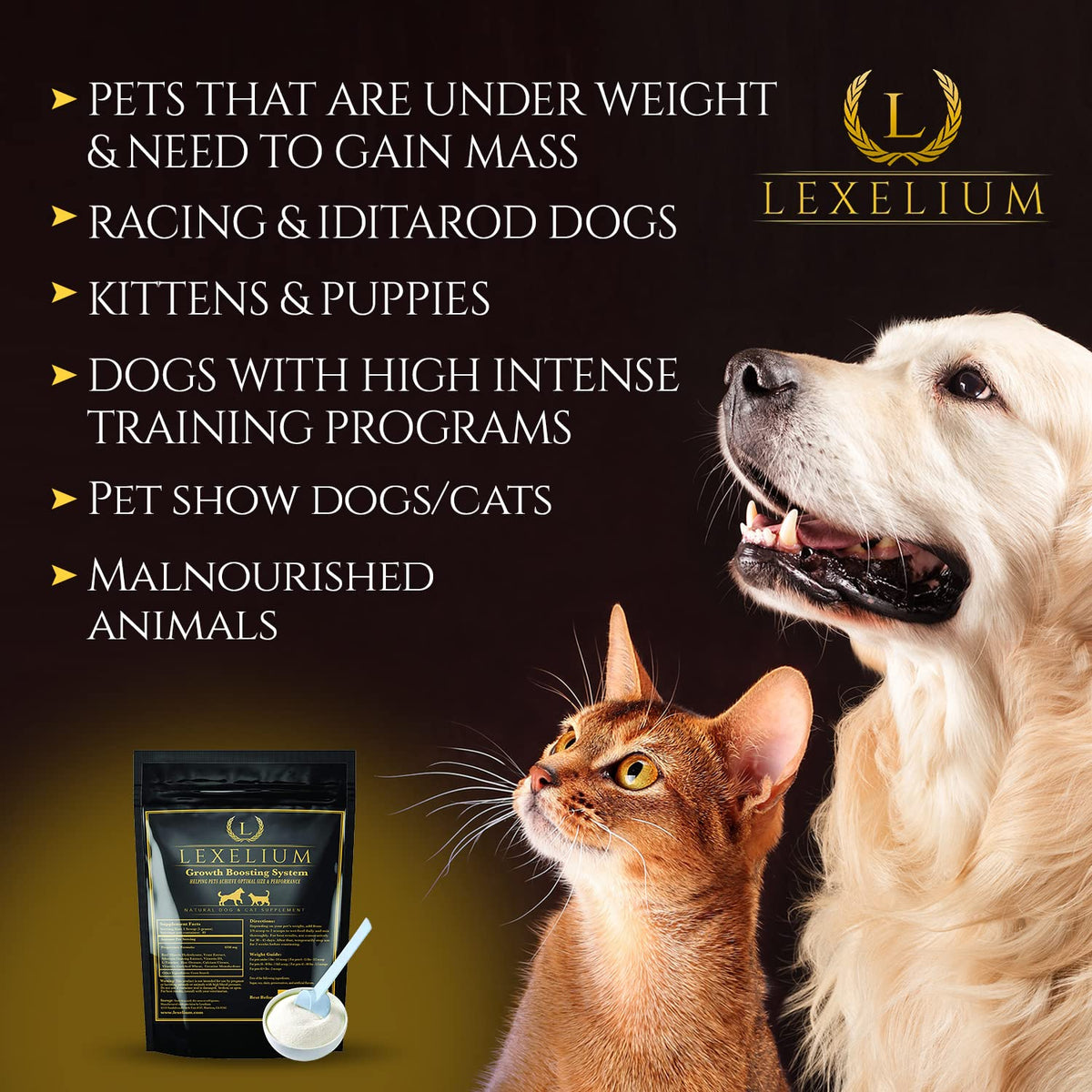Weight Gainer Supplement for Dogs & Cats 200g X307717