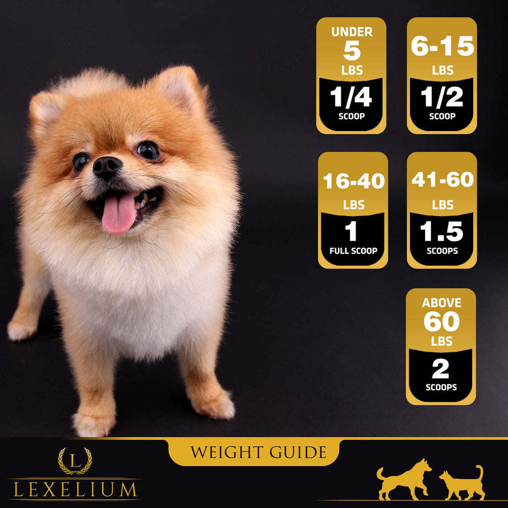 Weight Gainer Supplement for Dogs & Cats 200g X307717