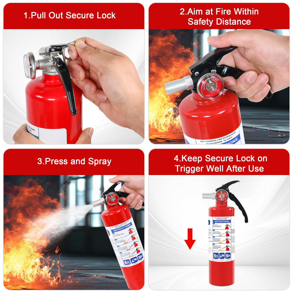 2.5lb ABC Dry Chemical Fire Extinguisher O420220