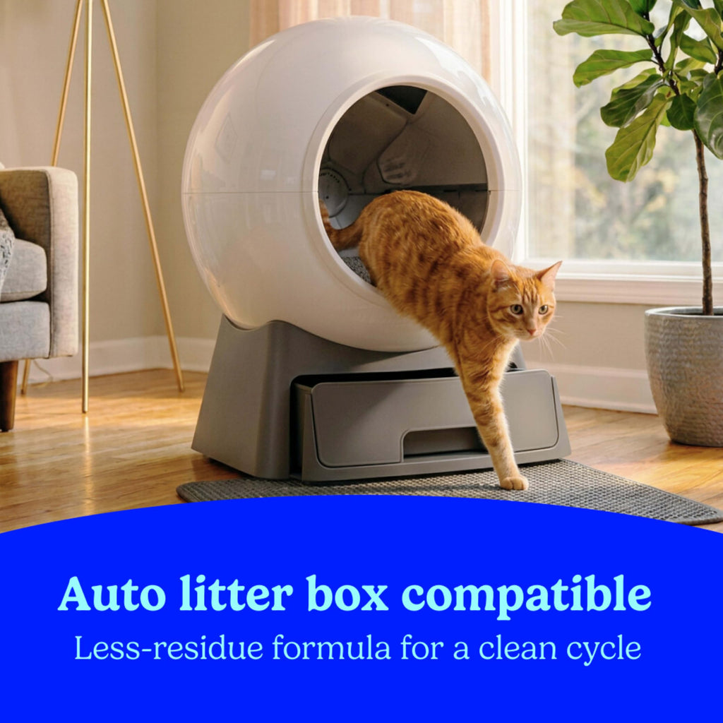 Multi Cat Clumping Litter, Unscented, 22 lb. Box U194918