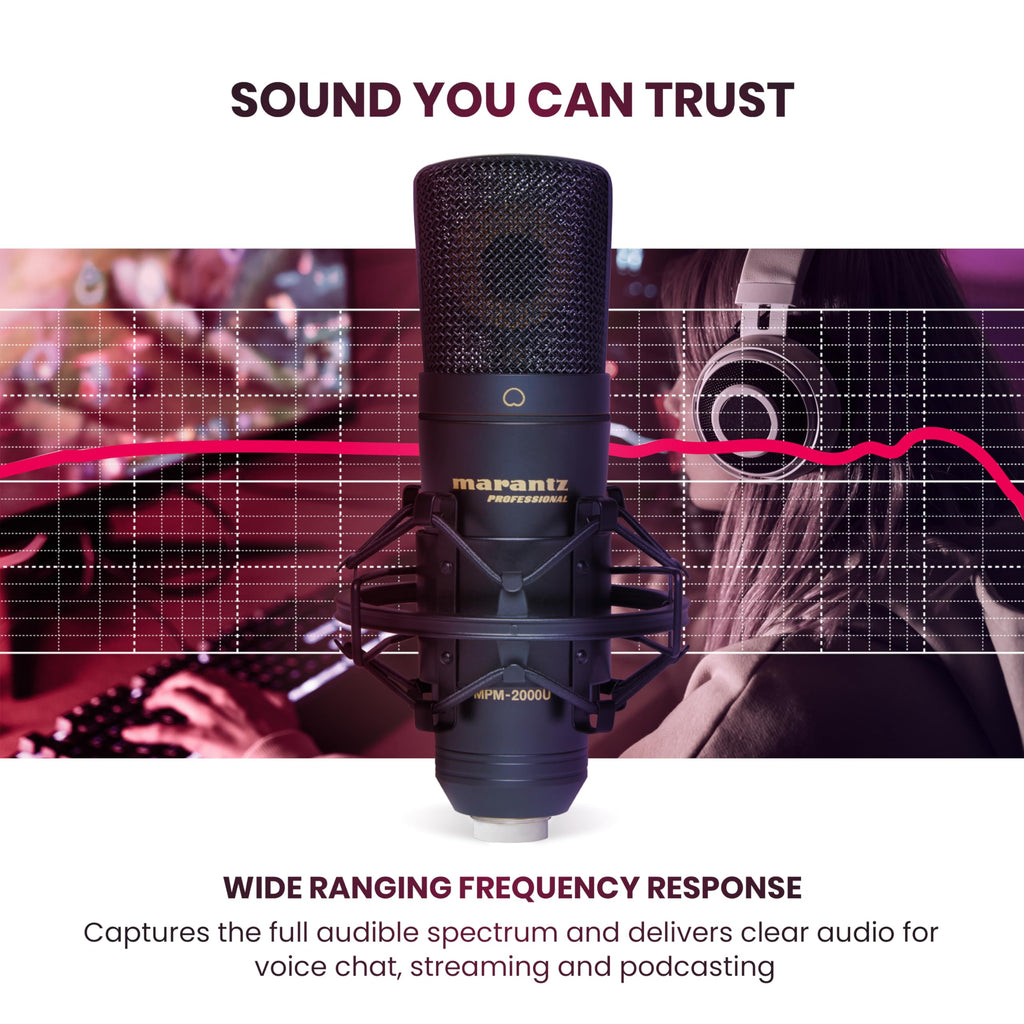 USB Condenser Microphone R3333