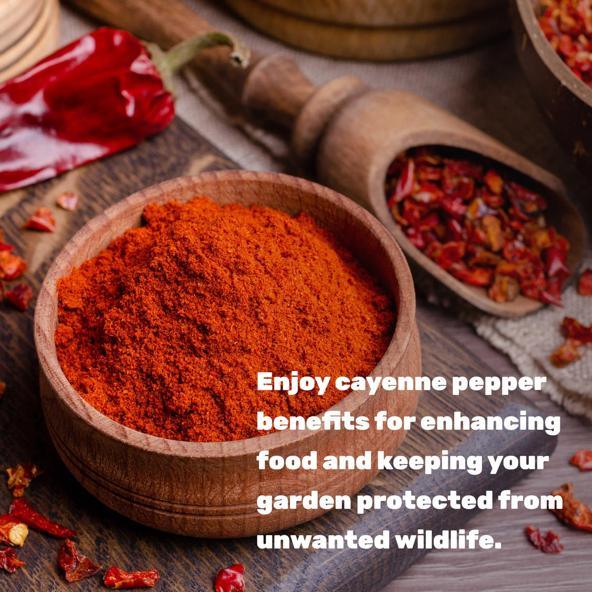 Ground Cayenne Pepper Powder, 5 Pounds Z107320